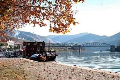 Private Douro Valley Tour: Boutique Winery & River Cruise - Hotel Pickup and Private Premium Transport: The Easy Start