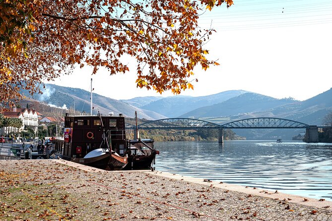 Private Douro Valley Tour: Boutique Winery & River Cruise - Hotel Pickup and Private Premium Transport: The Easy Start