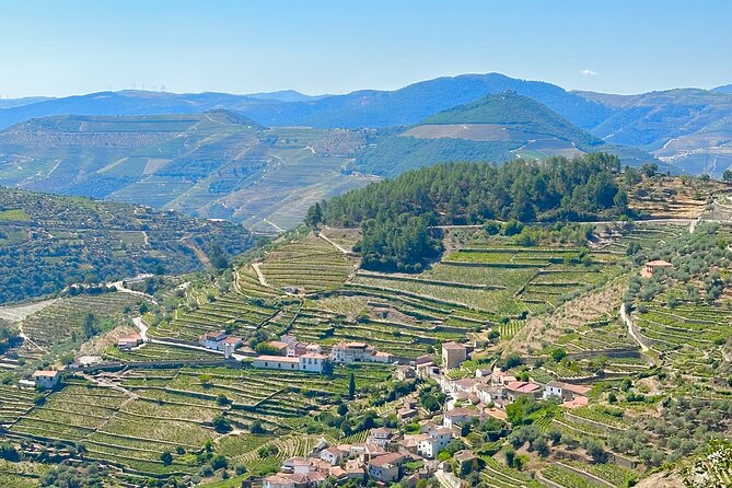 Private Douro Valley Winery Tour and River Cruise w/ Mercedes SUV - Quinta do Bomfim winery: 1.5 hours of tasting-focused fun