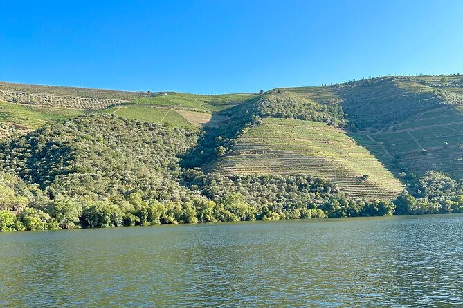 Private Douro Valley Winery Tour and River Cruise w/ Mercedes SUV - 1-hour Douro River cruise: the valley from water level