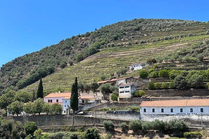 Private Douro Valley Winery Tour and River Cruise w/ Mercedes SUV - Price and value: is $235.81 per person worth it?