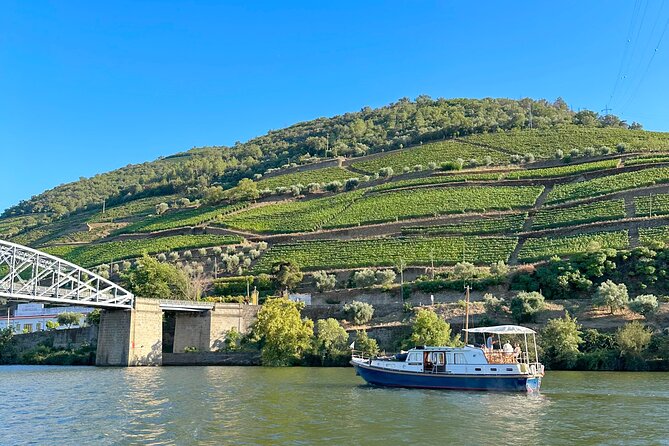 Private Douro Valley Winery Tour and River Cruise w/ Mercedes SUV - Timing, lunch, and small practical tips for your day