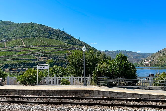 Private Douro Valley Winery Tour and River Cruise w/ Mercedes SUV - Miradouro Torguiano stop: terraced vineyards and river views up close