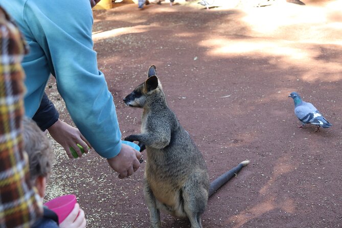 Private Luxury Blue Mountain Tour with Wildlife and River Cruise - A Private Blue Mountains Day That Actually Runs Like a Day Plan