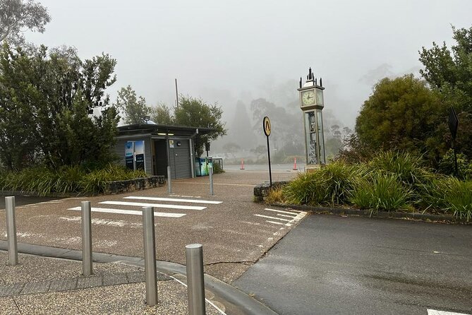 Private Luxury Blue Mountain Tour with Wildlife and River Cruise - The Rivercat Ferry Back to Circular Quay: A Relaxing Finish With Harbour Views