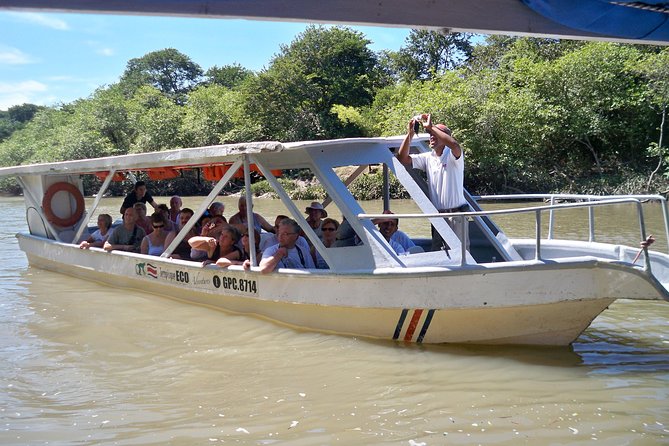 PRIVATE Palo Verde Boat Safari: Wildlife + Lunch Included - Family-Friendly Pacing and Why Private Beats Shared for Kids