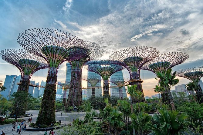 Private Singapore Night Tour with Gardens by the Bay&River Cruise - Door-to-door pickup: where the value really starts