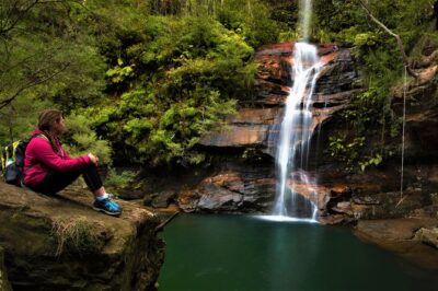 Private Tour Blue Mountains Day Adventure Wildlife + River Cruise - Price and Value: What $237.68 Really Buys