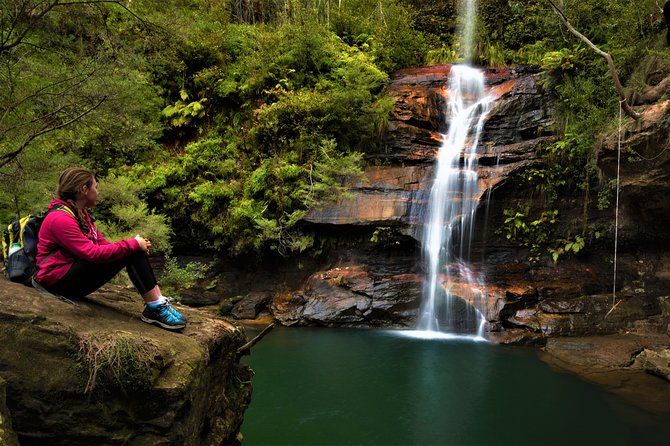 Private Tour Blue Mountains Day Adventure Wildlife + River Cruise - Price and Value: What $237.68 Really Buys