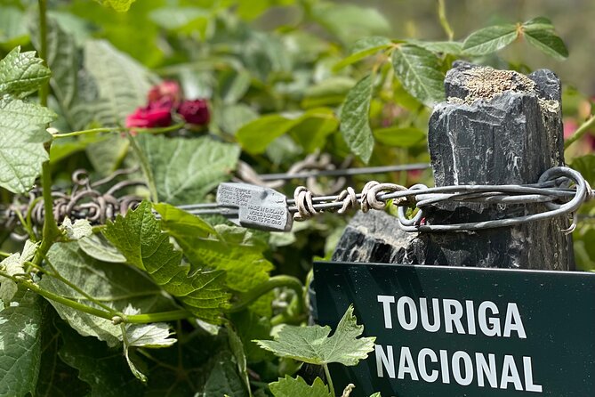 Private Tour From Porto To Douro Valley With River Boat Ride - The ride that matters: National Road 222 and Peso da Régua