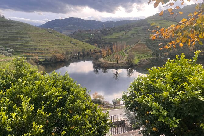 Private Tour From Porto To Douro Valley With River Boat Ride - Quinta do Tedo: wine production tour that goes beyond tasting