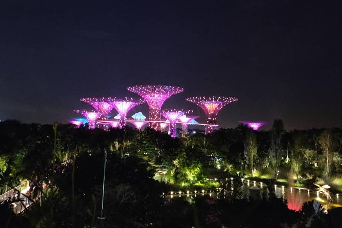 Private Tour: Nighttime Sightseeing with River Cruise - SkyPark at Marina Bay Sands: The 360° Skyline Moment
