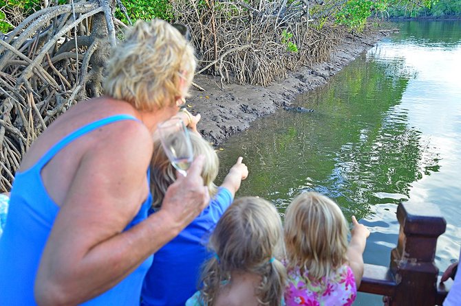 River Cruise - Why This Cruise Works in Port Douglas