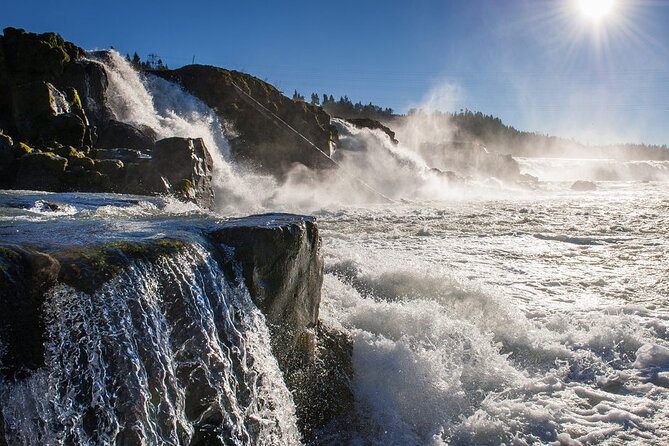 Scenic 2-Hour River Cruise to the Majestic Willamette Falls! - Key things I’d circle before you book