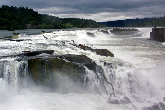 Scenic 2-Hour River Cruise to the Majestic Willamette Falls! - The real draw: a private 2-hour Willamette Falls cruise