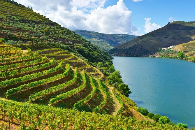 Secrets of Porto and Douro Valley with River Cruise - Porto Airport to 4-star hotels: the start matters