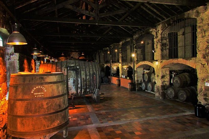 Secrets of Porto and Douro Valley with River Cruise - Quinta do Vallado picnic and the weather backup you’ll appreciate