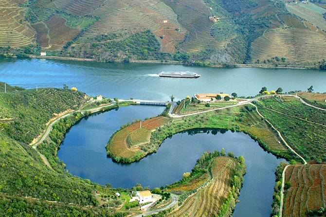 Secrets of Porto and Douro Valley with River Cruise - UNESCO Old Porto: Lello Library, São Francisco, and Port cellars