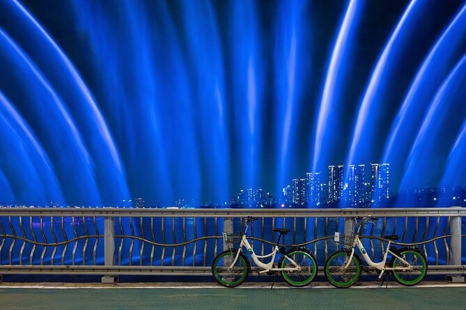 Seoul Night Tour with Han River Cruise and Gyeongbokgung Palace - What the $245 price really covers (and where costs can add up)