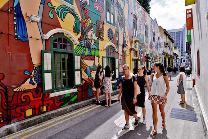 Singapore Panoramic Sightseeing Private Tour with River Cruise - Chinatown Time: Temples, Street Life, and the Food Plan