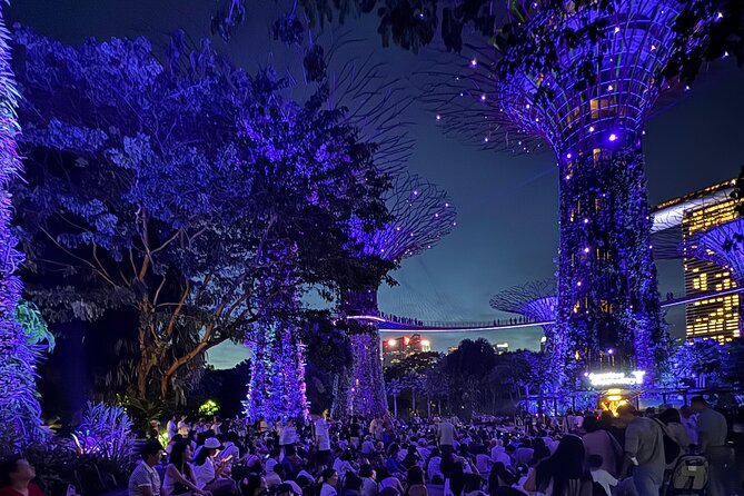 Singapore River Cruise, Night Garden Rhapsody and Spectra Tour - Key reasons this Singapore night tour makes sense