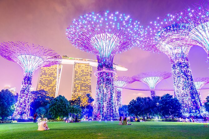 Singapore River Cruise, Night Garden Rhapsody & Spectra by CYT - Key highlights worth showing up for