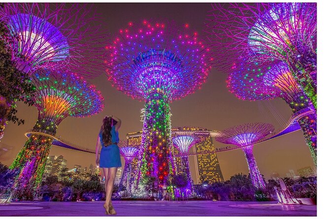 Singapore River Cruise with Spectra & Garden Rhapsody Light Show - Key Things To Know Before You Go
