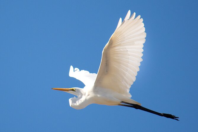 Sunset River Cruise in Kalbarri - Who This Cruise Fits Best (and Who Might Want More)