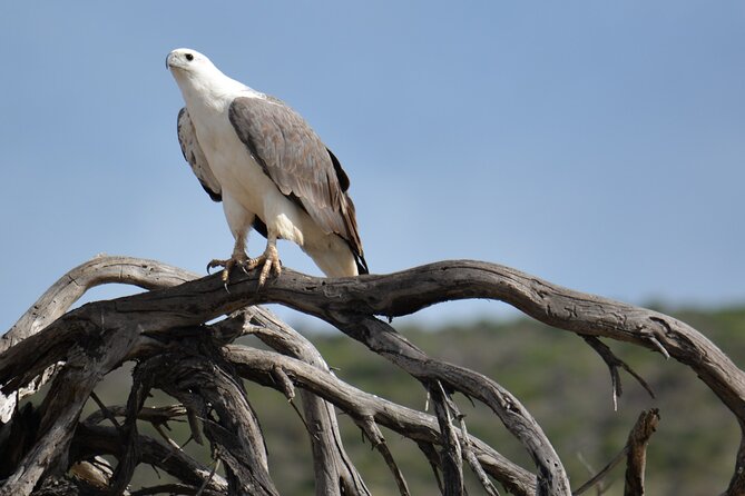 Sunset River Cruise in Kalbarri - Timing, Weather, and How to Get the Best Experience