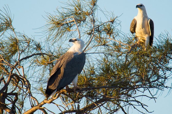 Sunset River Cruise in Kalbarri - What You Do During the 2.5 Hours: Murchison River Stop 1