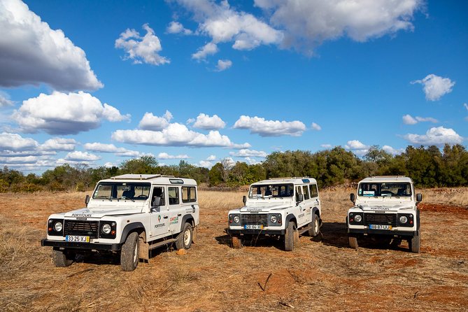 Super Day- Jeep Tour + Arade River Cruise - Honey, Beekeeping, and Medronho-Making Stops