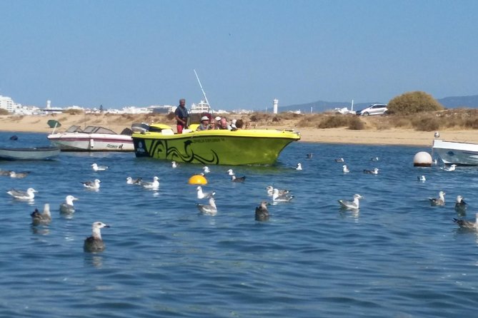 Super Day- Jeep Tour + Arade River Cruise - Price and Value: Is $102.12 Worth It?