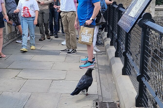 Tower of London: Guided Tour with Thames River Cruise - Group size, devices, and the walking reality
