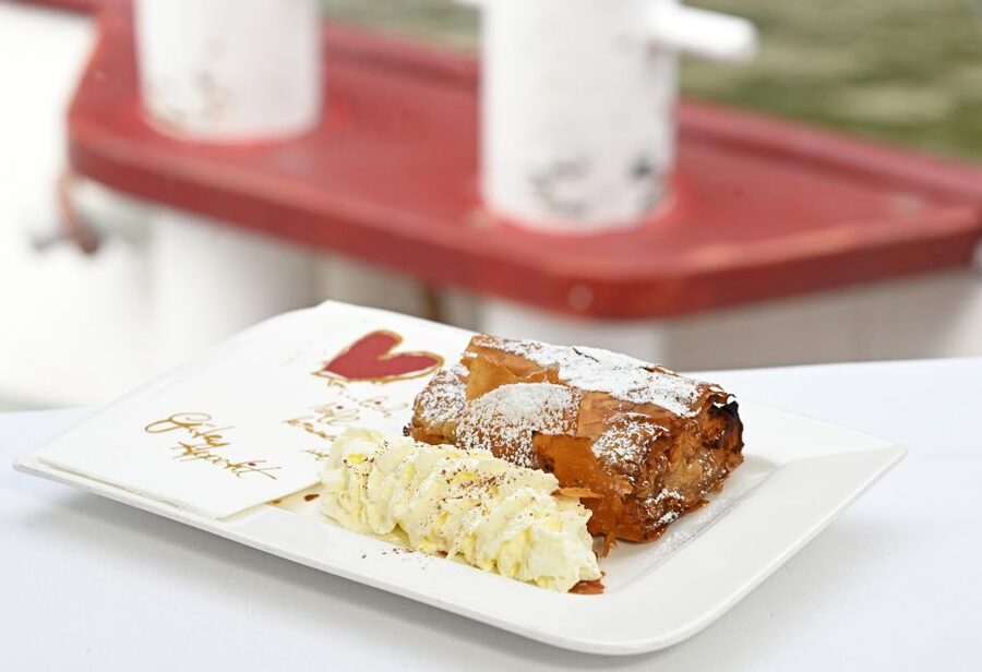 Vienna: Danube River Cruise w/ optional Viennese Specialties - A Danube cruise that changes how you see Vienna
