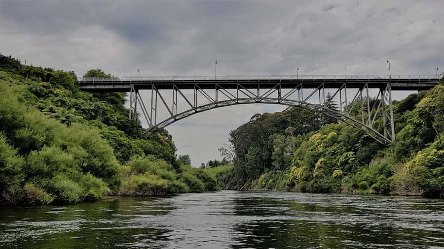Waikato River: 1-Hour Ecological River Cruise - Camjet Waikato Eco Cruise: the best parts are the balance