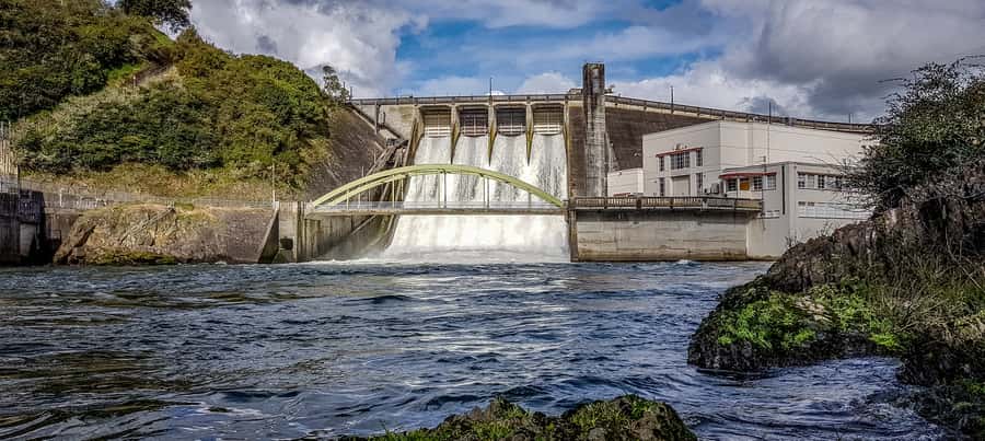 Waikato River: 1-Hour Ecological River Cruise - 4 things I’d plan around before you go